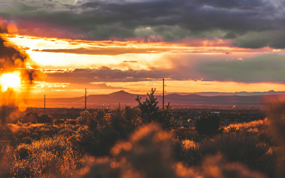 Tips and Tricks for Moving to Rio Rancho